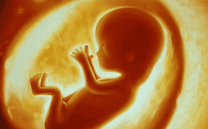 1691374826550928.png 5145.png